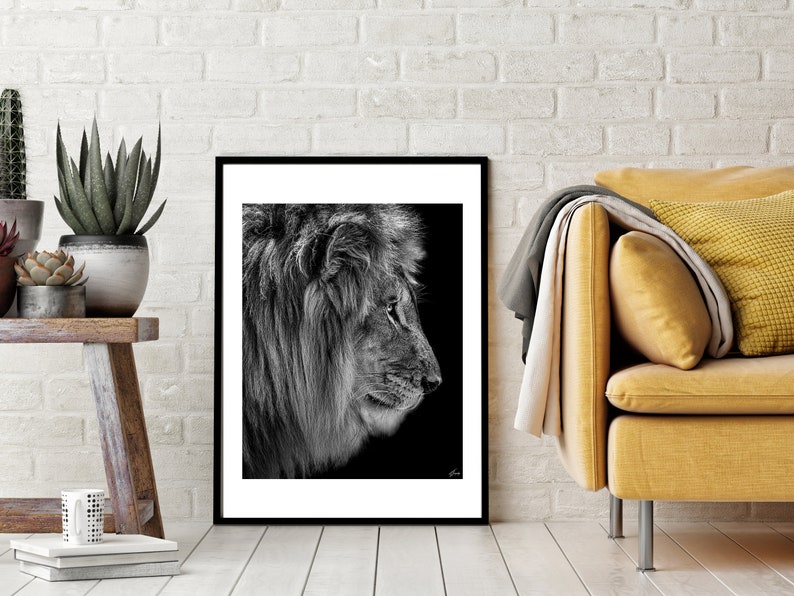 May include: Black and white photograph of a lion's head in profile against a black background. The lion has a thick mane and is looking to the right.