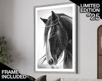 Limited Edition Horse Art Print | Fine Art Photography | Signed & Numbered