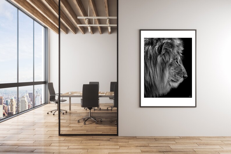 May include: A black and white photograph of a lion's head in profile, framed and hanging on a white wall in a modern office setting.