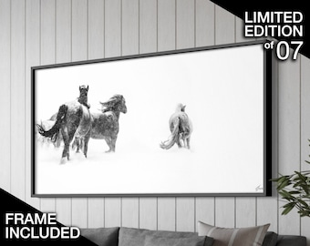Fotografía de caballos salvajes / Edición limitada de arte, enmarcada.