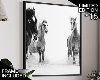 Fotografía de edición limitada de caballos salvajes / Impresión artística equina enmarcada / Arte mural ecuestre