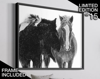 Horse Lover Gift | Limited Edition Photography | Framed Print | Equine Luxury Wall Art