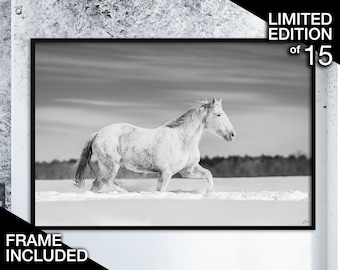 Fotografía artística equina / Impresión enmarcada de caballos de edición limitada / Arte mural de lujo