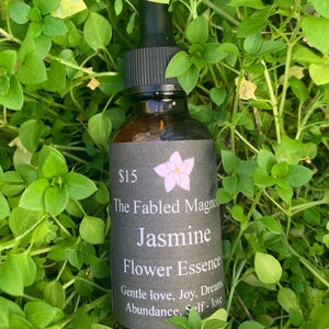 Jasmine Flower Essence