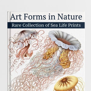 Pode incluir: Capa de livro com uma coleção de ilustrações vintage de medusas, com o título "Art Forms in Nature: Rare Collection of Sea Life Prints" e o autor "Ernst Haeckel".