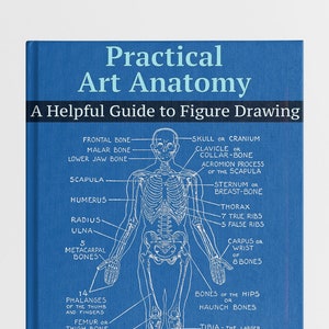 Peut inclure: Un livre bleu intitulé "Practical Art Anatomy: A Helpful Guide to Figure Drawing" par E.G. Lutz. La couverture présente un dessin au trait du squelette humain en position debout, avec les noms des os.