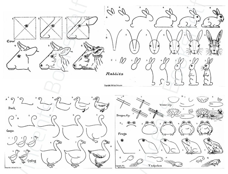May include: A black and white instructional illustration showing how to draw animals such as cows, rabbits, ducks, geese, dragonflies, frogs, and tadpoles. The image provides step-by-step guides for each animal, with the word "Rabbits" in the center.