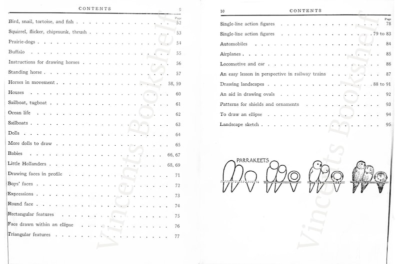 K&ouml;nnte beinhalten: Eine Schwarzwei&szlig;illustration eines Tisches mit drei Sittichen, die auf einem Ast sitzen. Der Text "PARRAKEETS" befindet sich &uuml;ber den V&ouml;geln.