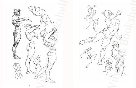 Constructive Anatomy Bridgman Figure Drawing Book Learn to Draw
