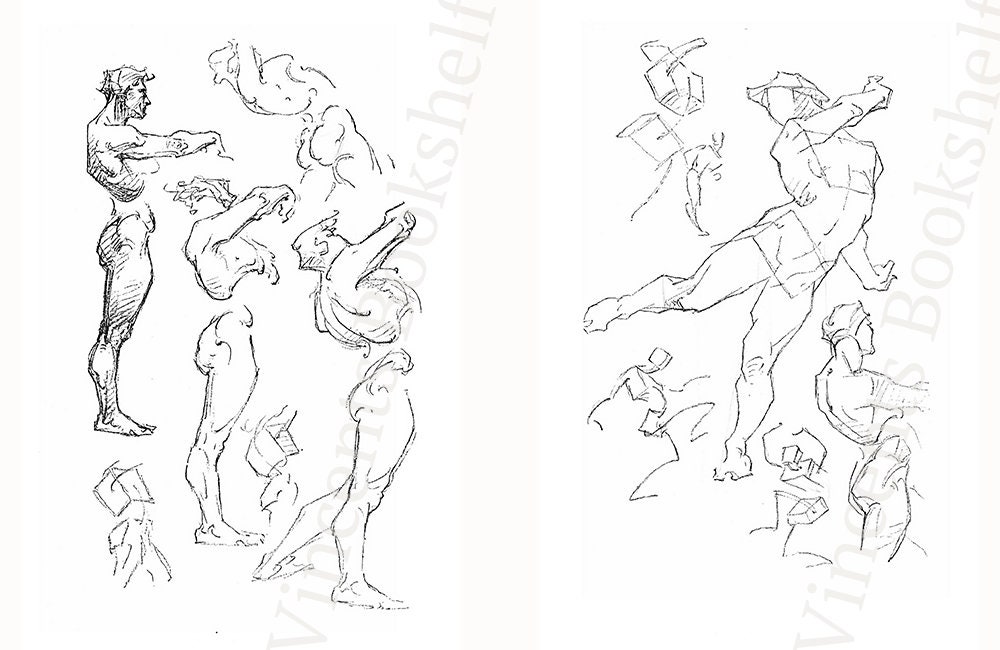 Constructive Anatomy Bridgman Figure Drawing Book Learn to - Etsy 日本