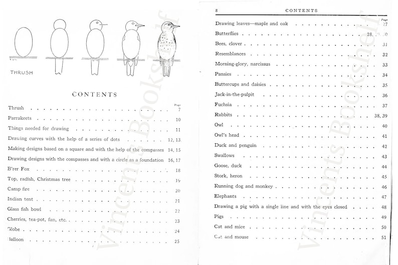 K&ouml;nnte beinhalten: Eine Schwarzwei&szlig;illustration eines Vogels, einer Drossel, mit dem Wort "THRUSH" darunter gedruckt. Die Illustration ist Teil eines Buches mit dem Titel "Drawing Designs with the Compass and with a Circle as a Foundation".