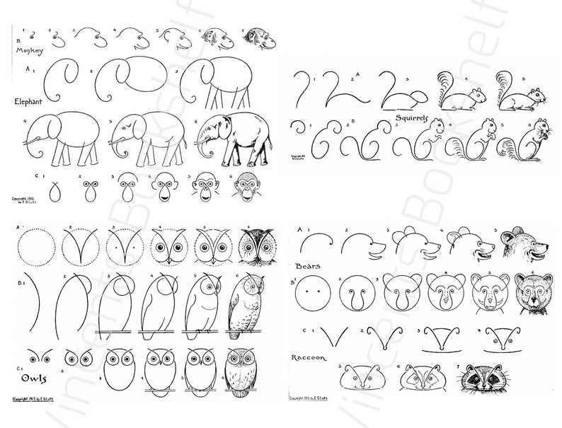May include: A black and white illustration providing step-by-step drawing guides for animals. The image features instructions for drawing elephants, squirrels, owls, bears, and raccoons. The text "Owls" and "Bears" is visible.