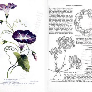 Unterricht in Sticken & Stricken Handarbeitsbuch. Handstickerei Blumenmotive, Häkelanleitungen für Anfänger Experten PDF eBook Download Bild 4