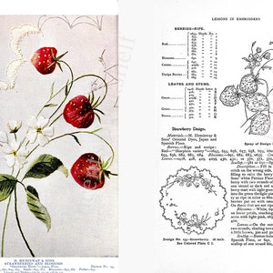 Unterricht in Sticken & Stricken Handarbeitsbuch. Handstickerei Blumenmotive, Häkelanleitungen für Anfänger Experten PDF eBook Download Bild 5