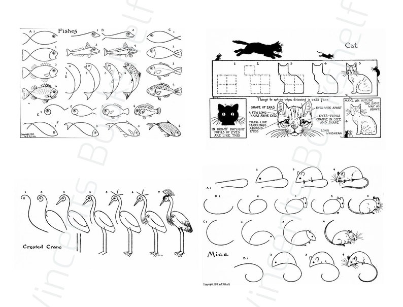 May include: A vintage black and white illustration showing drawing tutorials for various animals. The image includes guides for drawing fish, cats, mice, and crested cranes, with text labels such as "Fishes," "Cat," and "Mice."