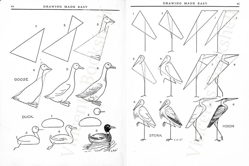 K&ouml;nnte beinhalten: Eine Schwarzwei&szlig;illustration, die zeigt, wie man eine Gans, eine Ente, einen Storch und einen Reiher zeichnet. Die Illustration zeigt die Schritte, die beim Zeichnen jedes Vogels beteiligt sind, beginnend mit Grundformen und schrittweisem Hinzuf&uuml;gen von Details.