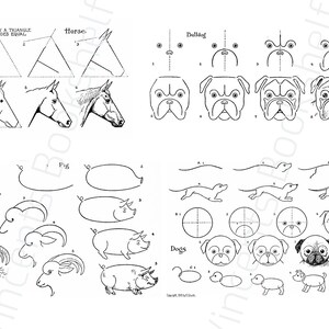 May include: A black and white guide showing how to draw a horse, bulldog, pig, goat, and dogs. The illustrations break down each animal into simple steps, starting with basic shapes.