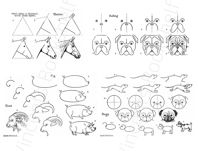 May include: A black and white guide showing how to draw a horse, bulldog, pig, goat, and dogs. The illustrations break down each animal into simple steps, starting with basic shapes.