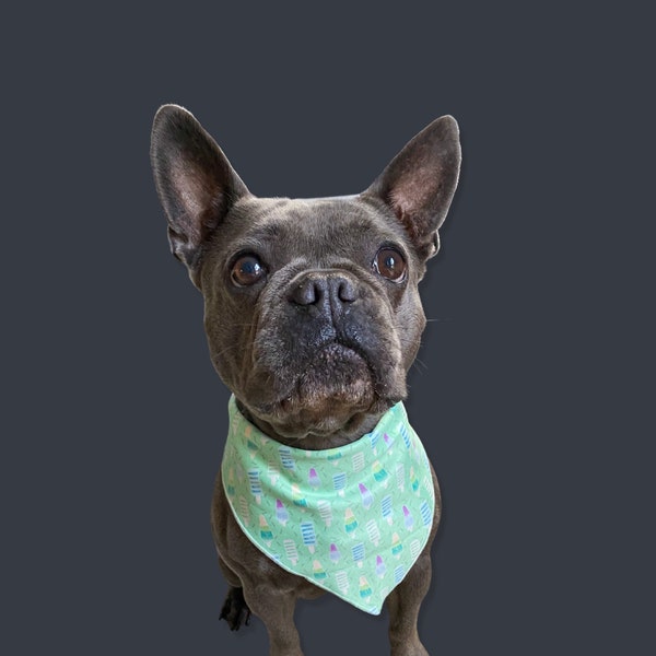 Mint Green Ice Lolly Dog Bandana - Ice Cream Pattern - One Size Fits All - Comfortable Tie Up Style