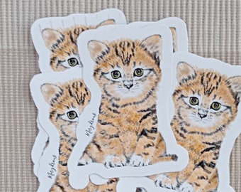 Cute cat sticker: Tsuki. Original art sticker. Fluffy pets lovers.
