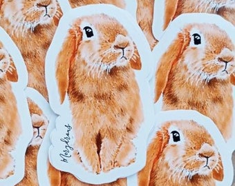 Cute bunny sticker: Jake Original art sticker. Pet lovers.