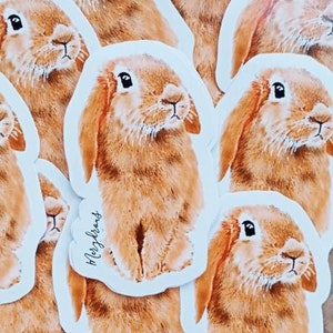 Cute bunny sticker: Jake Original art sticker. Pet lovers. image 1