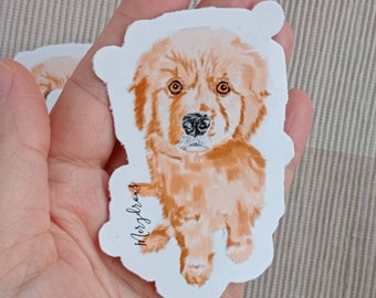 Dog Stickers: Simba. Cute stickers of this fluffy pet.