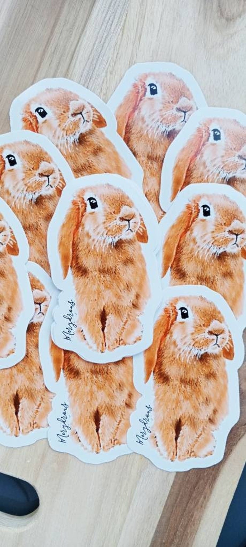 Cute bunny sticker: Jake Original art sticker. Pet lovers. image 1