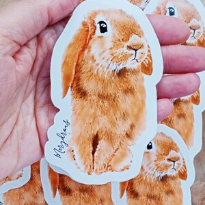 Cute bunny sticker: Jake Original art sticker. Pet lovers. image 2