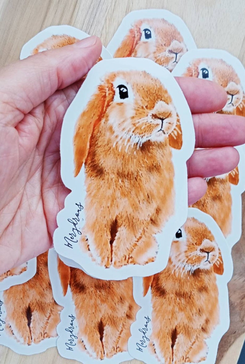Cute bunny sticker: Jake Original art sticker. Pet lovers. image 2