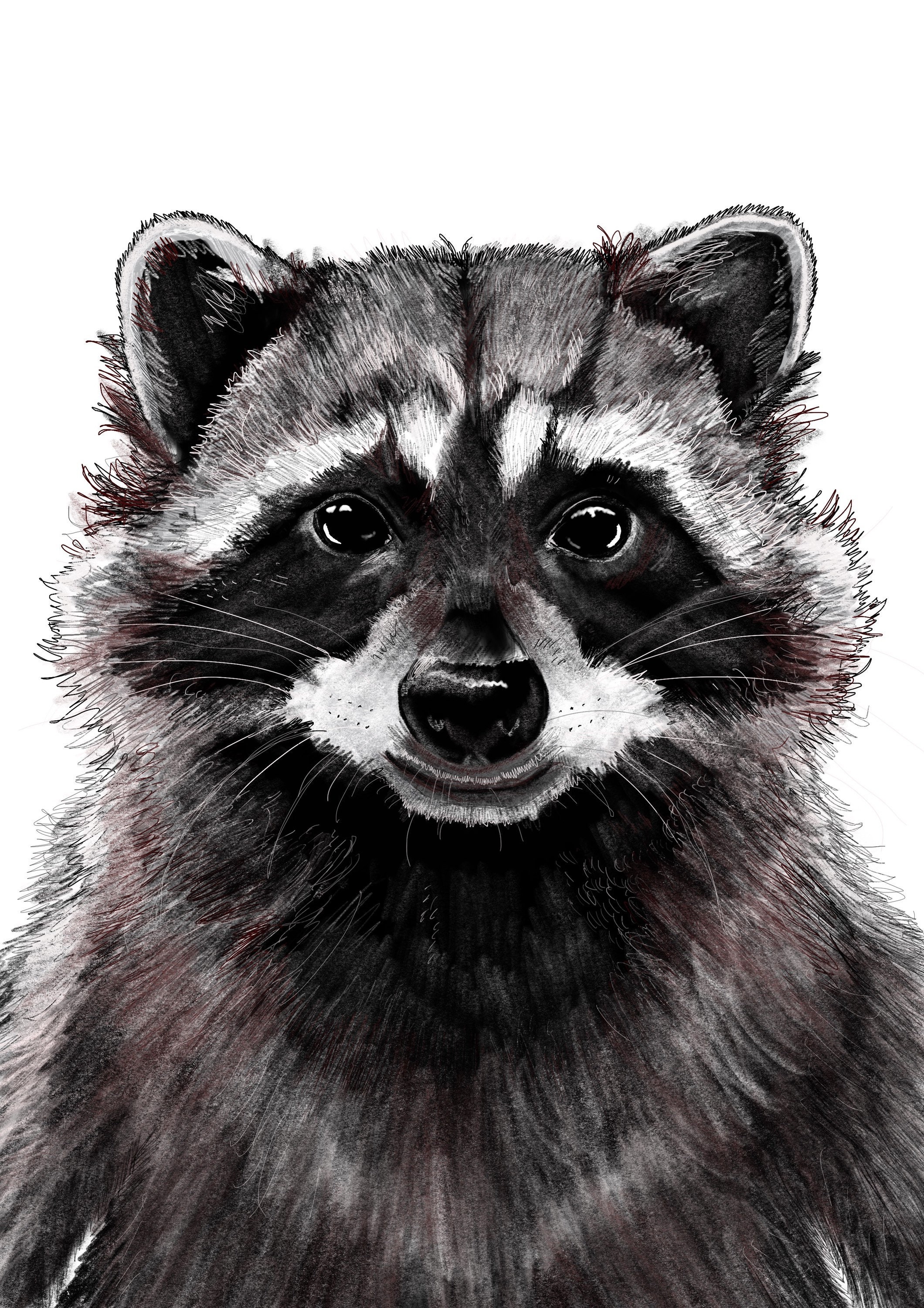 RACCOON PRINT / Animal Wall Print / Woodland Animals / Home Etsy Italia