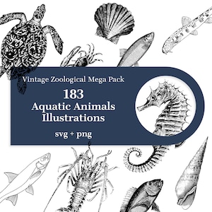 183 Vintage Aquatic Animal Illustrations: SVG, PNG (Digital Download)
