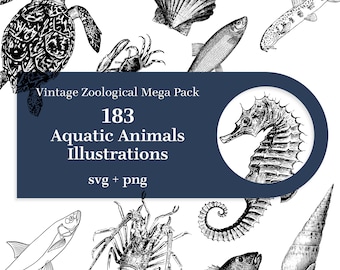 183 Aquatic Animals Illustrations - Vintage zoological Mega pack. SVG, transparent background PNG. Fish, Shellfish, Shells, Octopus, Turtle