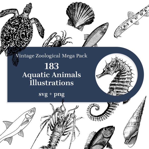 183 illustrations d'animaux aquatiques - Mega pack zoologique vintage. SVG, fond transparent PNG. Poissons, Crustacés, Coquillages, Poulpe, Tortue