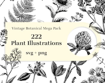 222 Plant Illustrations - Vintage botanical mega pack. SVG and transparent background PNG included. Wildflowers, Ferns, Wheats, Weeds