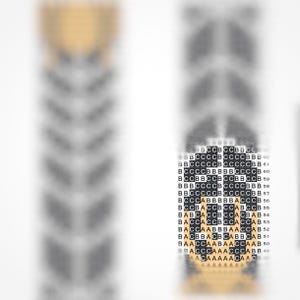 May include: Black and white pixel art design of a person's face. The person has a black beard and brown hair. The pixel art is made up of small squares.