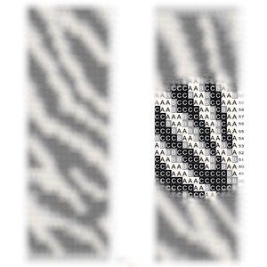Puede incluir: Dise&ntilde;o de arte de p&iacute;xeles en blanco y negro de una cara con fondo negro. El dise&ntilde;o est&aacute; hecho de cuadrados peque&ntilde;os, con las letras A y B que representan los diferentes colores.