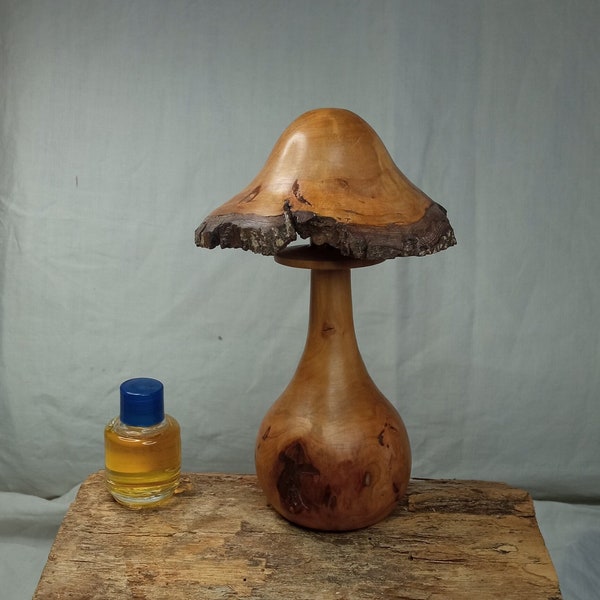 Beau champignon décoratif à parfumer en bois d'aubépine noire.