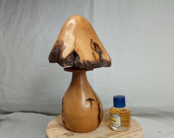 Beau champignon décoratif à parfumer en bois d'aubépine noire.