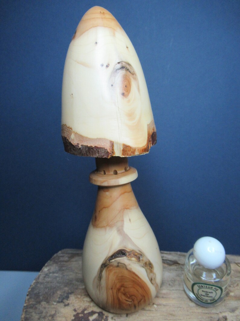 Juniper Wood Fragrance Diffuser. Original Decorative Mushroom. Etsy