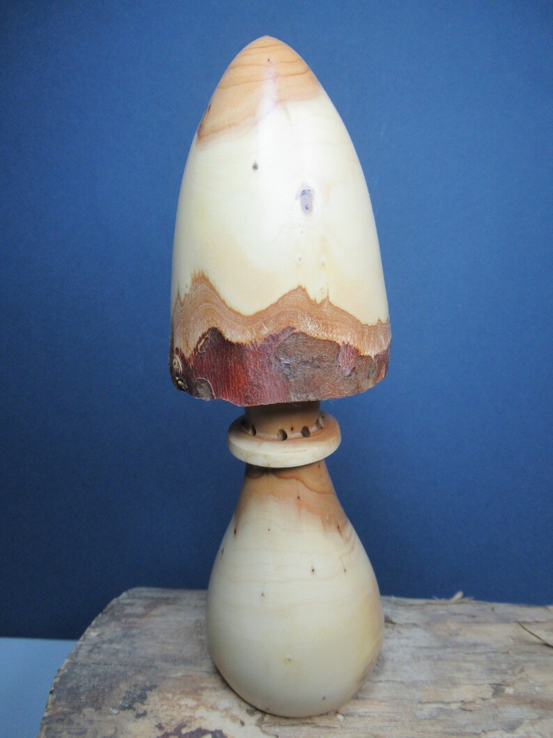 Juniper Wood Fragrance Diffuser. Original Decorative Mushroom. Etsy