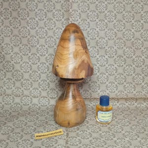 Könnte beinhalten: Ein Flaschenverschluss aus Holz in Pilzform mit einer braunen und dunkelbraunen Holzmaserung. Der Verschluss liegt auf einer gemusterten Oberfläche mit einer kleinen Flasche Apfelessig im Vordergrund.