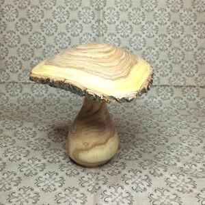 Sophora. Diffuseur parfum. Très beau champignon décoratif.