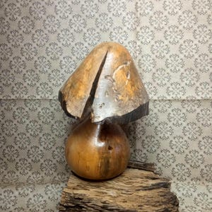Op de afbeelding: Een uit hout gesneden paddenstoelsculptuur met een gladde, lichtbruine hoed met een opvallende verticale spleet en een afgeronde steel, rustend op een rechthoekig stuk ruwe, donkerbruine schors met een zichtbare houtnerf en textuur.