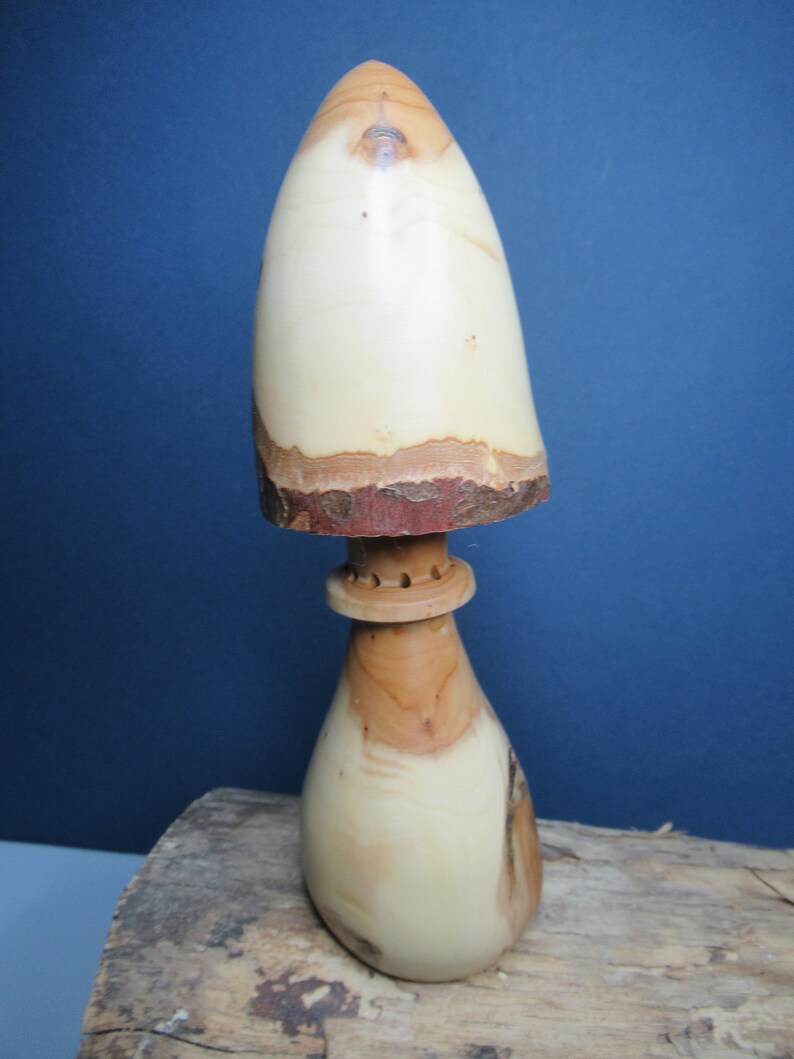 Juniper Wood Fragrance Diffuser. Original Decorative Mushroom. Etsy