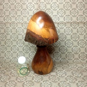May include: A polished wooden mushroom sculpture with a smooth, rounded cap featuring natural bark edges and a tapered stem, positioned next to a small, clear glass bottle with a white cap and a label reading Senteur Pin extrait de parfum.
