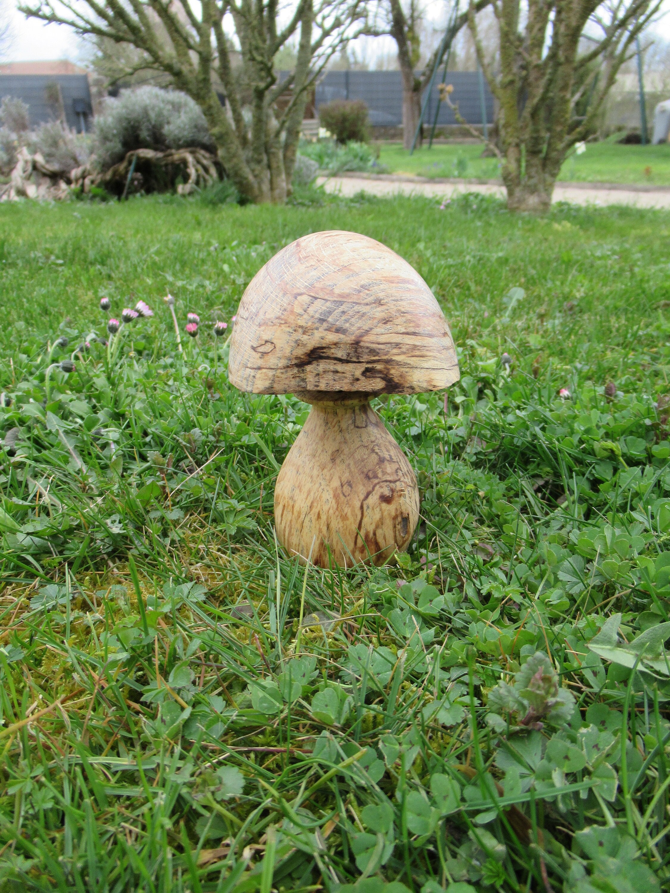 Champignon Décoratif, Diffuseur Parfum en Bois de Frêne Échauffé.