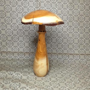 Taxus. Geurverspreider. Prachtige decoratieve geurpaddestoel van taxushout.