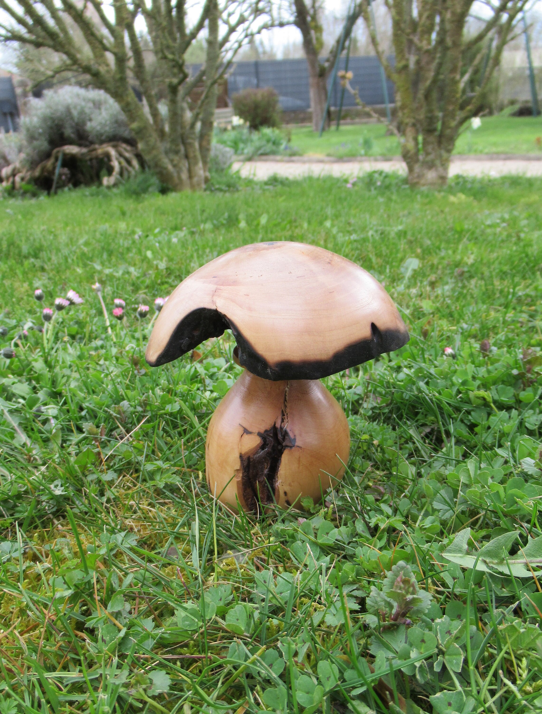 Gros Champignon Décoratif à Parfumer en Bois d'aubépine Noire.