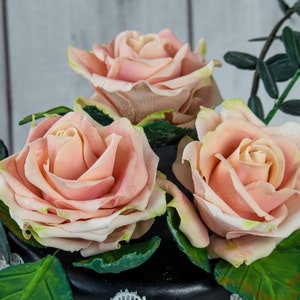 May include: Three blush pink roses with green leaves and stems on a black background.